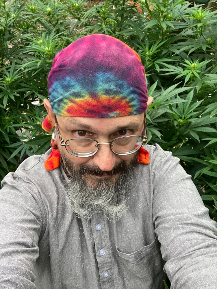 250906 cannabis consumer