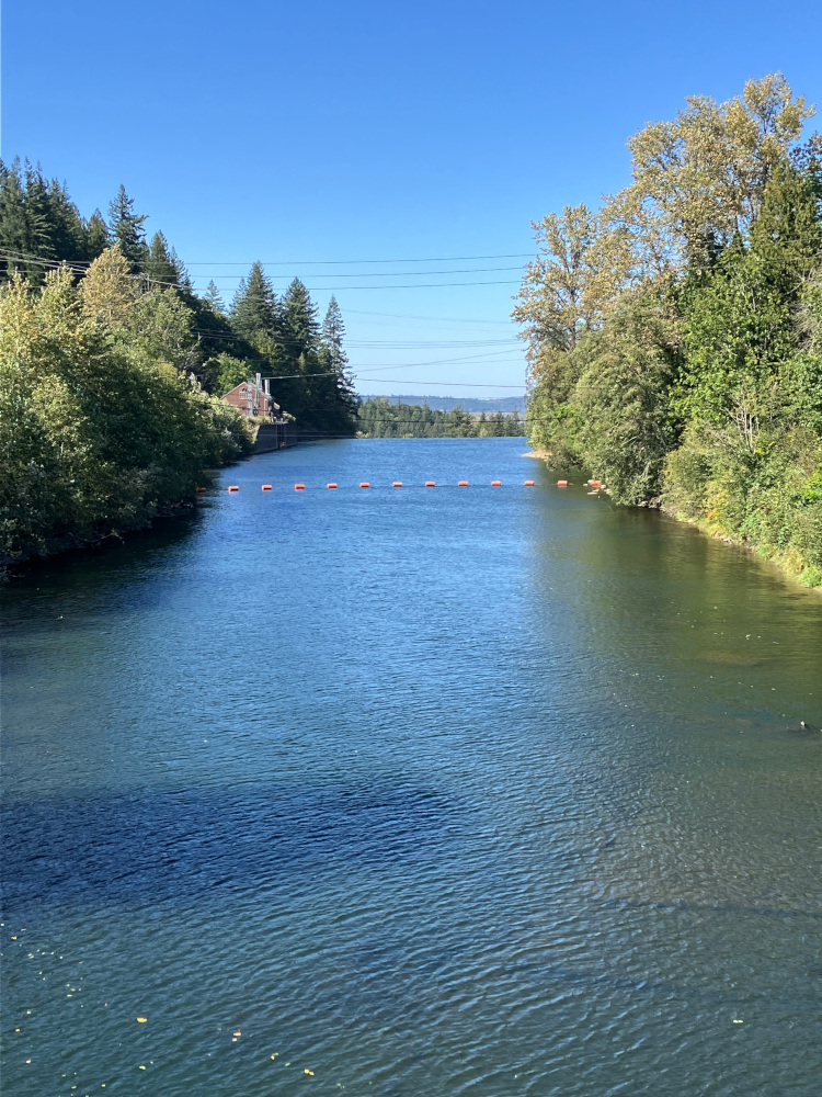 250916 - sdukʷalbixʷ falls from the east, looking west