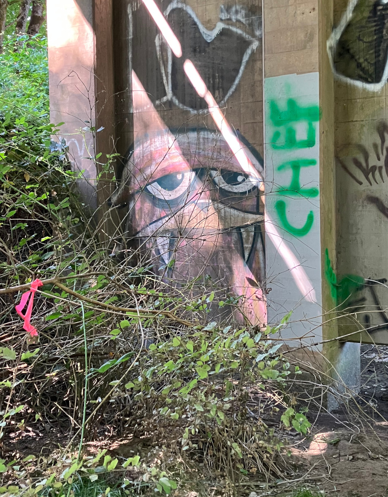 250916 - henry under the bridge