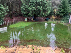 251211 our flooded back yard